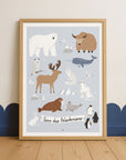 Lernposter Tiere des Polarkreises