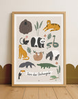 Lernposter Tiere des Dschungels