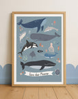 Lernposter Tiere des Meeres
