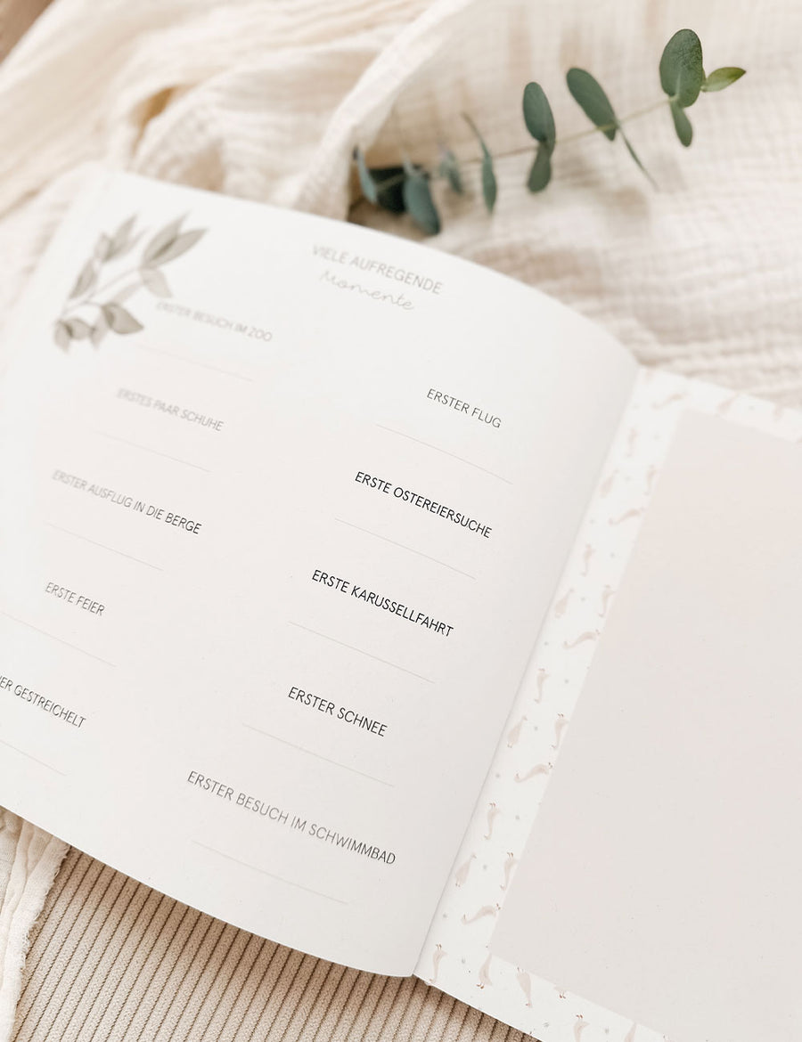 Zwillingsalbum Baby - Unser erstes Jahr - Wir sind da