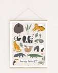 Lernposter Tiere des Dschungels