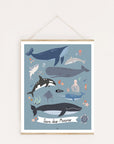 Lernposter Tiere des Meeres