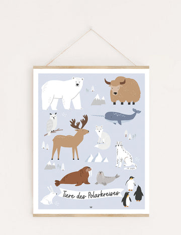 Poster Tiere des Polarkreises