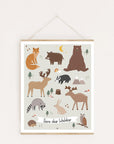 Lernposter Tiere des Waldes