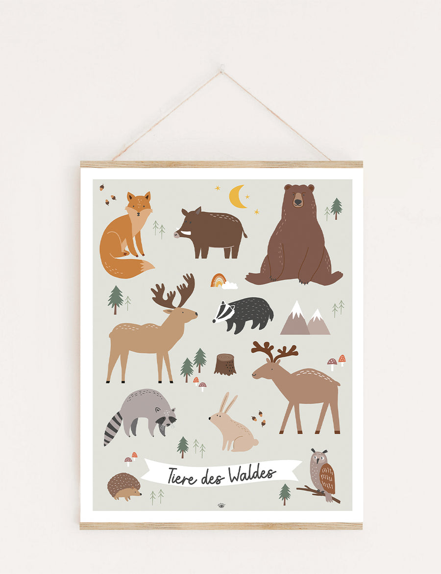 Poster Tiere des Waldes