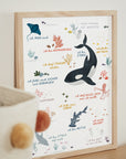Affirmationsposter Sealife